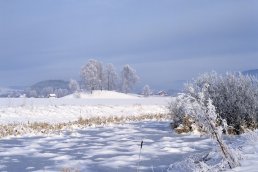 Gravhaugen Halvdanshaugen på Stein gård i Hole i Buskerud. Foto Arve Kjersheim_Riksantikvaren