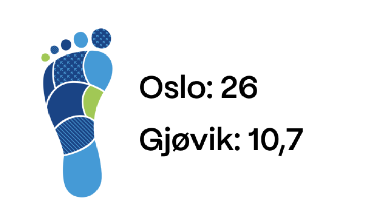 Figuren viser CO2-utslipp fra DiBK i 2024 (i tonn)